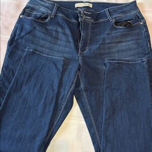 Cato Deep Indigo Women's Skinny Jeans